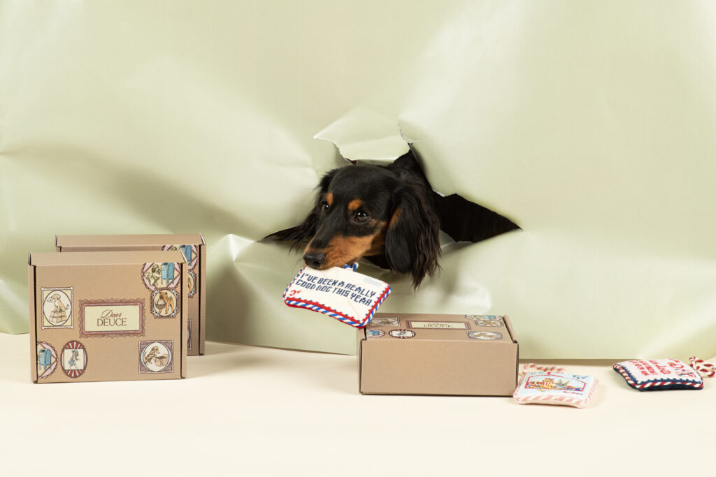 Why Perfectly Calm Dogs Are Not Required for Commercial Pet Photography